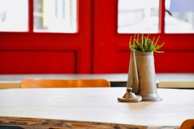 plante Une plante en pot sur une table, en intérieur